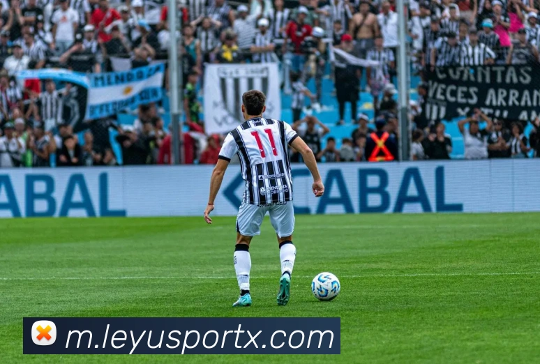 乐鱼体育发展历程